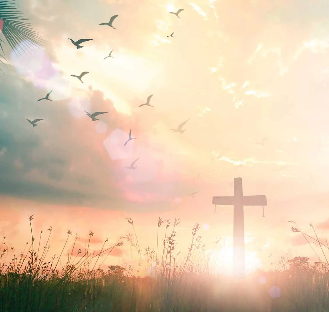 About the Risen Experience